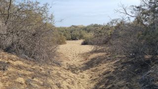 2023-GC-Dunas_Maspalomas-146.jpg